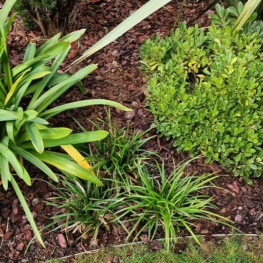 choisir le meilleur paysagiste à Cholet