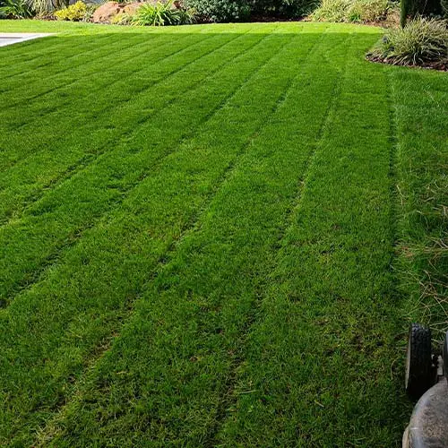Entretien de Jardin à Cholet