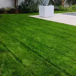 Tonte pelouse à Cholet