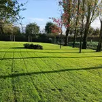 Entretien de jardin à Cholet